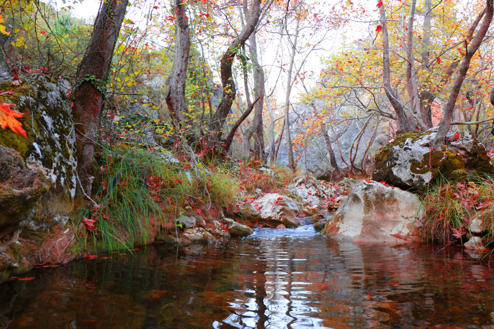 Safranbolu Fotoğrafları