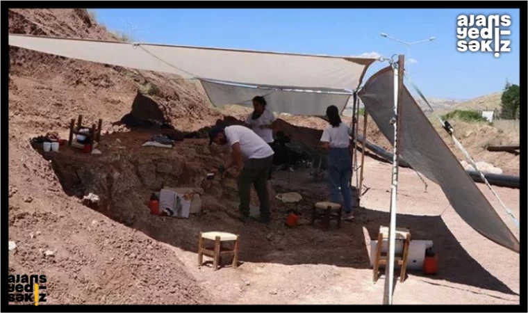 Çankırı'da Eşsiz Keşif: 9 Milyon Yıllık Binlerce Fosil!