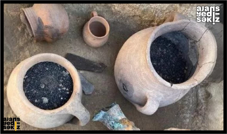 Hadrianopolis 1600 Yıllık Tohumlar Bulundu!