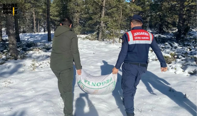 Jandarma ve DKMP İş Başında!