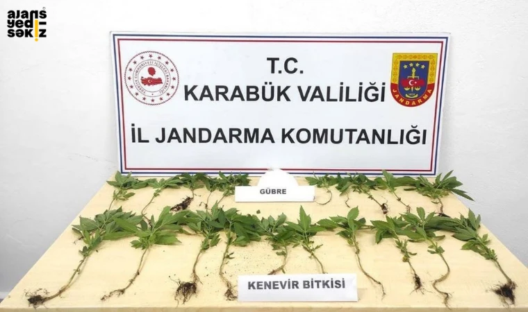 Jandarma 2 Kişiyi Suç Üstü Yakaladı!