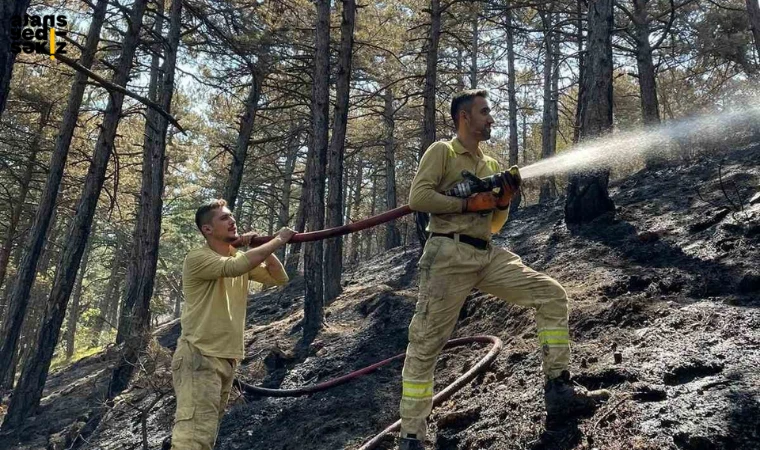 Karabük'te dün çıkan orman yangınında 7 hektar alan zarar gördü.