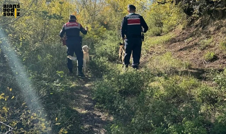 Yaşar Dursun’un arama çalışmalarında ölü eşek bulundu.
