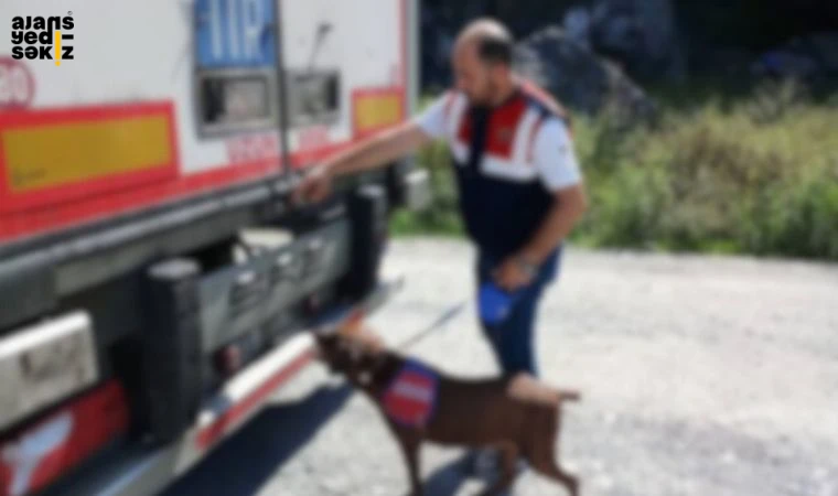 Karabük Eskipazar’da tır şoföründe 991 gram metamfetamin ele geçirildi.