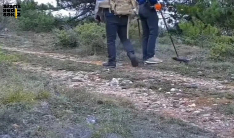 Sarıçiçek Yaylası’nda ilginç görüntüler kaydedildi.