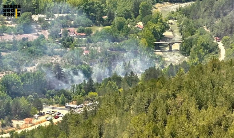 3 hektarlık alana zarar veren yangında soğutma çalışmaları sürüyor.