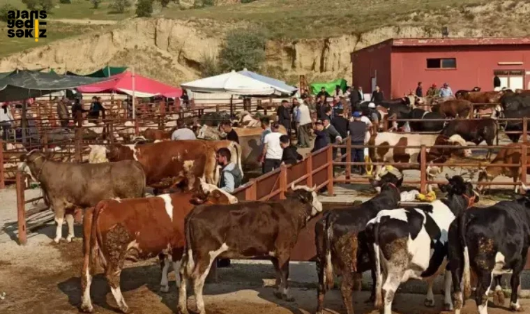 Şap hastalığındaki artış nedeniyle tüm Türkiye’de hayvan satış yerleri ikinci bir emre kadar kapalı olacak.