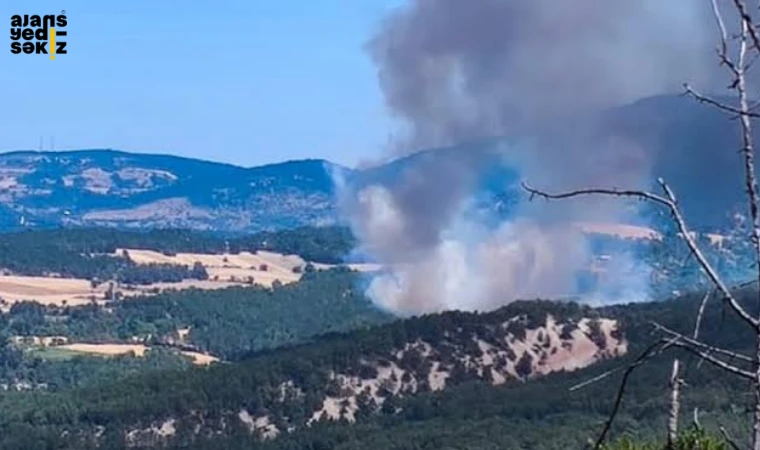 Bolu Mudurnu'da alevlere havadan ve karadan müdahale aralıksız sürüyor.