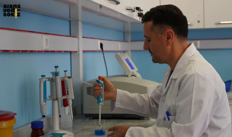 Diyabetik Böbrek Hasarına Karşı Zeytin Yaprağı ile Tedavi Yöntemi Geliştiriyor.