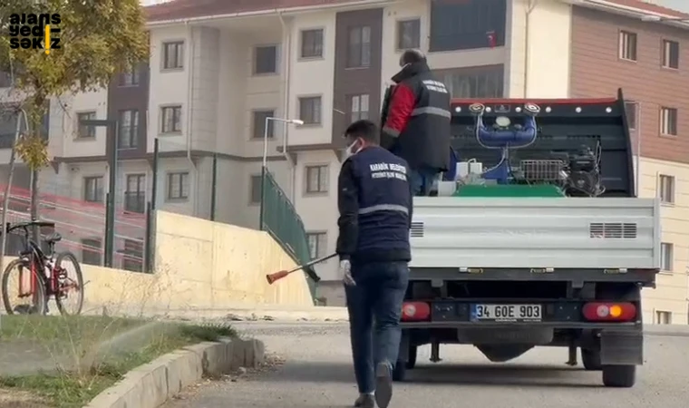 Belediye, Haşere Mücadelesini Aralıksız Sürdürüyor.
