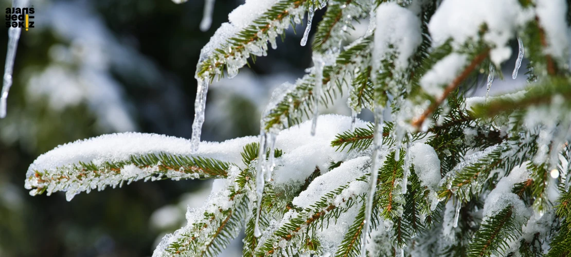 Valilik, 17 Ocak'tan itibaren buzlanma ve don olaylarının beklendiğini duyurdu.