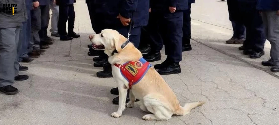 İz takip köpeği Medyum için emeklilik töreni düzenlendi.