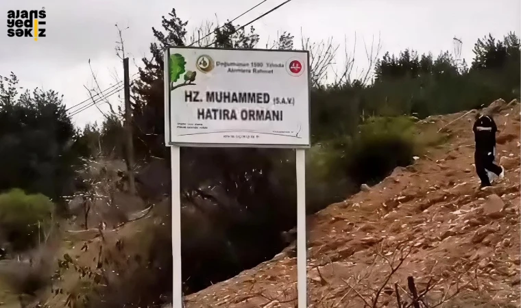 Hz. Muhammed (SAV) adına 1.500 fidanla hatıra ormanı oluşturuldu