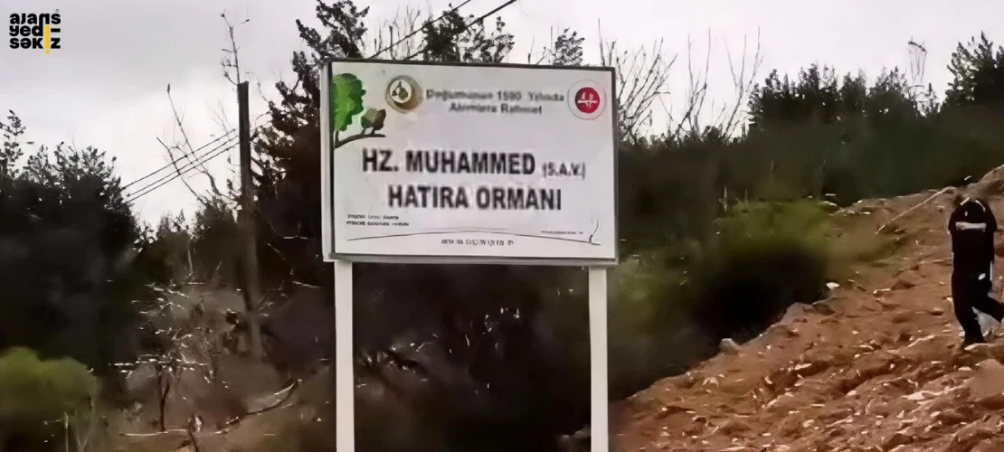 Hz. Muhammed (SAV) adına 1.500 fidanla hatıra ormanı oluşturuldu