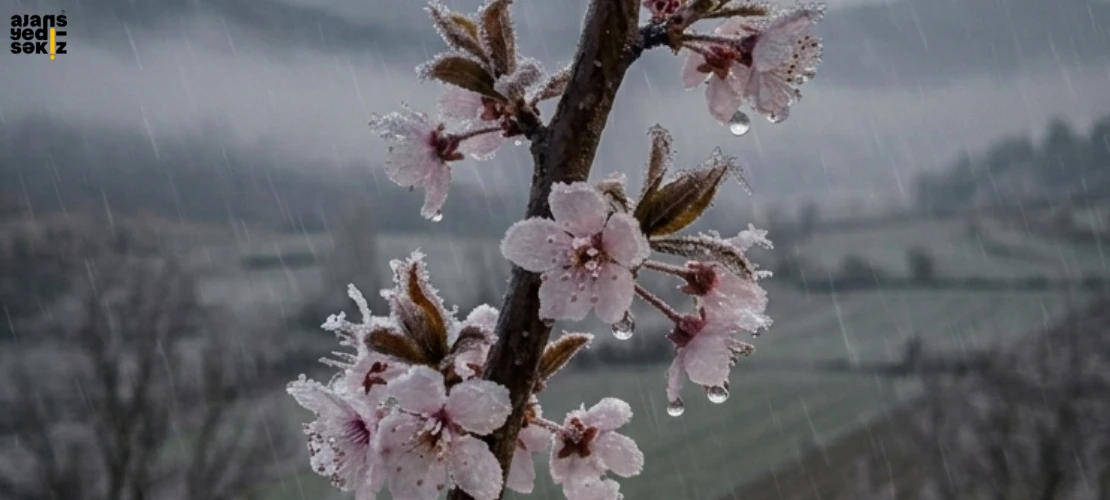 Karabük Valiliği soğuk hava nedeniyle hafif zirai don riski konusunda uyardı.
