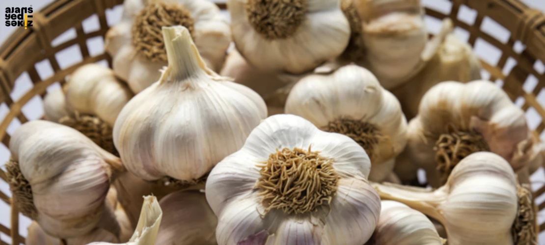 Türkiye’den iki sarımsak türü, uluslararası listede ilk 5’e girmeyi başardı.