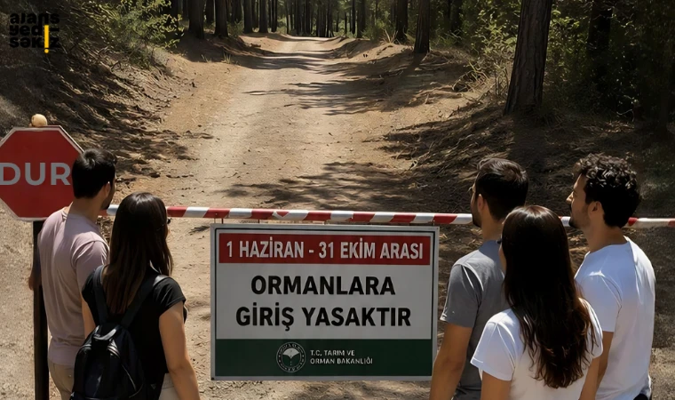 Karabük'te 31 Ekim'e kadar sürecek ormanlara giriş yasağı bugün başladı.
