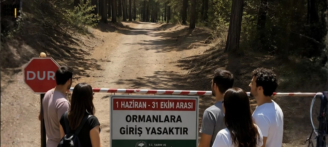 Karabük'te 31 Ekim'e kadar sürecek ormanlara giriş yasağı bugün başladı.
