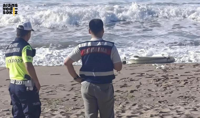Bartın-Kastamonu sınırındaki Kapısuyu Plajı'nda silahlı İHA bulundu.
