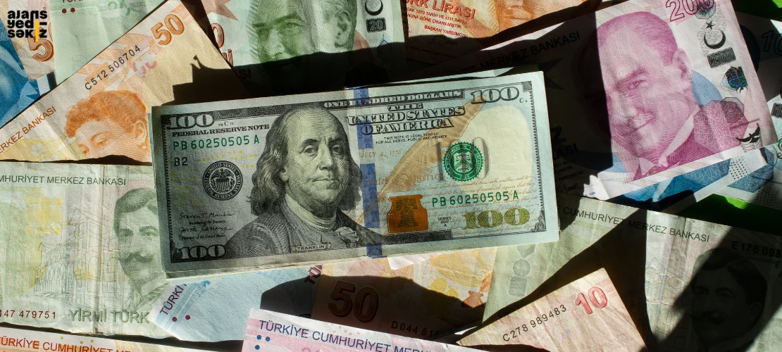 Bir önceki aya göre, Türk lirası karşısında dolar yüzde 1,49, avro yüzde 1,59 yükseldi
