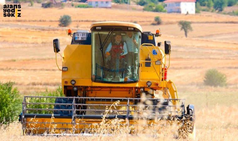 Bakan Yumaklı, Eflani’de üreticilerle bir araya gelerek buğday hasadını gerçekleştirdi.