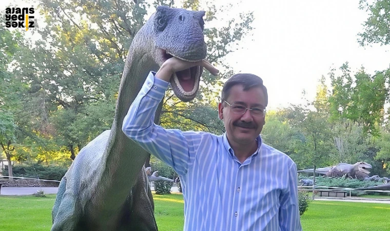 Gökçek, soruşturma kapsamında cuma günü ifade verecek.