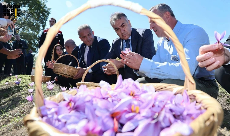 Bilimsel yöntemlerle verimliliğin artırılması hedeflenen projede hasat yapıldı.