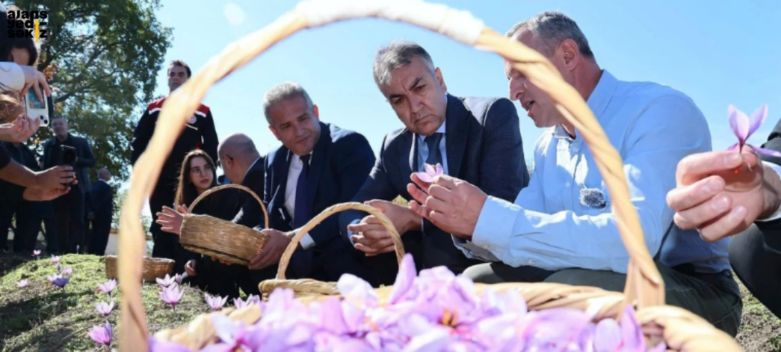 Bilimsel yöntemlerle verimliliğin artırılması hedeflenen projede hasat yapıldı.