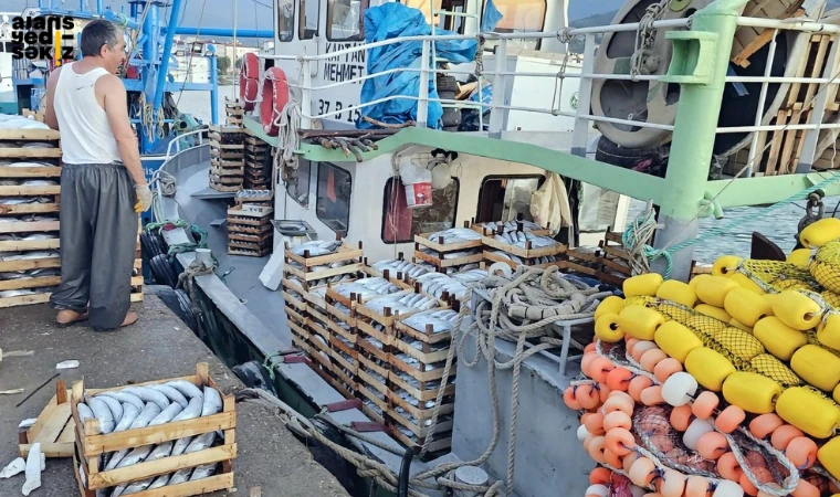 Kiloluk palamutlar tezgahlarda 40 TL'den alıcı buluyor.