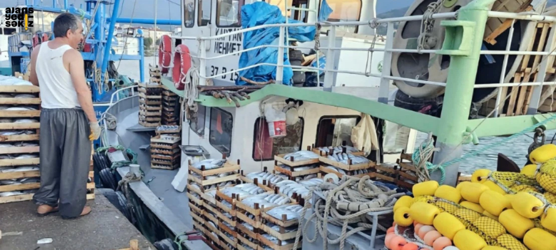 Kiloluk palamutlar tezgahlarda 40 TL'den alıcı buluyor.