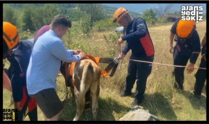 AFAD Yaşam Kurtarmaya Devam Ediyor!