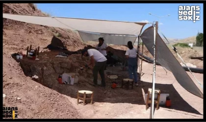 Çankırı'da Eşsiz Keşif: 9 Milyon Yıllık Binlerce Fosil!