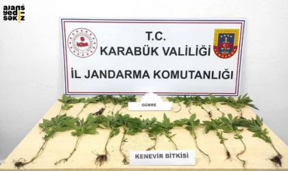 Jandarma 2 Kişiyi Suç Üstü Yakaladı!