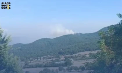 Kale Köyü'nde henüz sebebi bilinmeyen orman yangını hızla büyüyor.