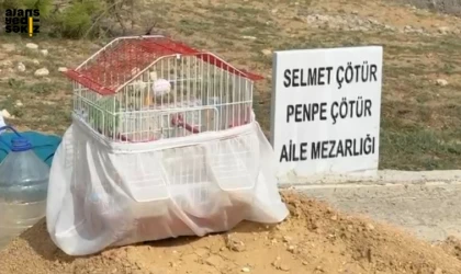 Ocak ayında eşini kaybeden Selmet Çötür,mezarlığa kuşlarınıda götürüyor.