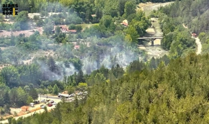 3 hektarlık alana zarar veren yangında soğutma çalışmaları sürüyor.