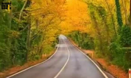 Bartın'da 5-11 Temmuz'daki trafik denetimlerinde 855 bin TL ceza kesildi.
