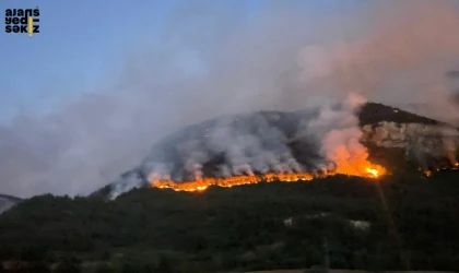 Ekipler suyun ulaşamadığı noktalarda toprakla yangın hattı oluşturuyor.