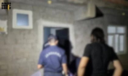 Karabük’te Jandarma Operasyonunda 14 Kök Kenevir Bitkisi Ele Geçirildi