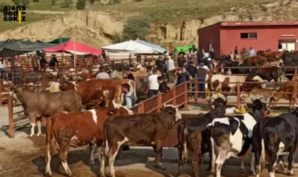 Şap hastalığındaki artış nedeniyle tüm Türkiye’de hayvan satış yerleri ikinci bir emre kadar kapalı olacak.