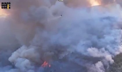 Karabük Soğuksu mevkisinde orman yangını, rüzgarın etkisiyle büyüyor.