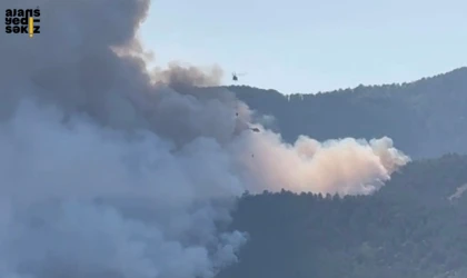 Rüzgarın etkisiyle yükselen alevlere karardan ve havadan müdahale sürüyor.