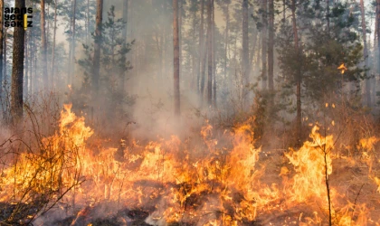 Yortan’da ormanlık alana yakın bölgede alevler yükseldi.