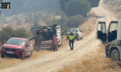 Araç Güzelce köyü tedbir amacıyla tahliye edildi, müdahale aralıksız sürüyor