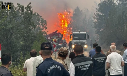 Karabük'te orman yangınlarına havadan ve karadan müdahale aralıksız devam ediyor.
