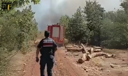 Safranbolu Harmancık köyü ile Eflani Saraycık köyü arasında ormanlık alanda çıkan yangına 41 personelle müdahalee ediliyor.