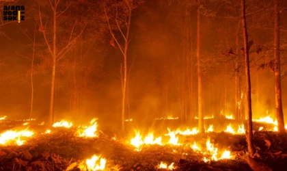 Yaklaşık 11 saattir devam eden yangına an itibarıyla karadan müdahale sürüyor.
