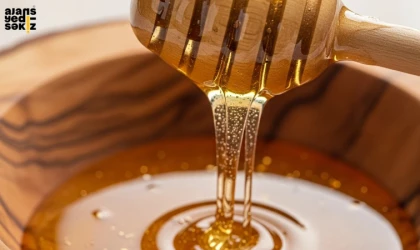 Ilgaz'da üretilen balın 1 kilosu 557 bin TL'ye satılarak dünya rekoru kırdı.