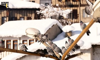 Karabük’te yeni haftada hava sıcaklıkları hissedilir derecede düşecek.