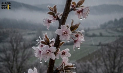 Karabük Valiliği soğuk hava nedeniyle hafif zirai don riski konusunda uyardı.